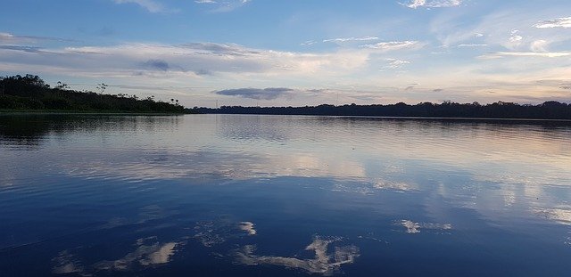 Free download Laguna Limoncocha Ecuador -  free photo or picture to be edited with GIMP online image editor