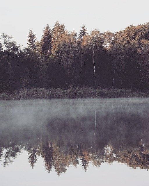 Descărcare gratuită Lake Autumn Fog - fotografie sau imagini gratuite pentru a fi editate cu editorul de imagini online GIMP