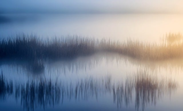 Бесплатно скачайте озеро осень туман трава природа бесплатная картинка для редактирования в GIMP бесплатный онлайн-редактор изображений