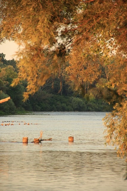 Free download lake autumn forest landscape free picture to be edited with GIMP free online image editor