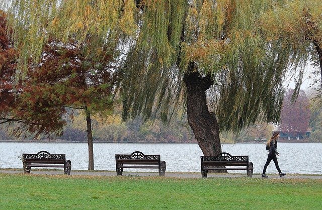 Free download Lake Autumn Landscape -  free photo or picture to be edited with GIMP online image editor