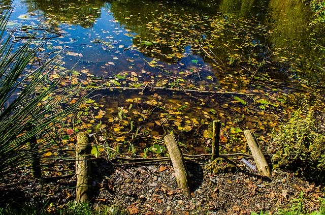 Free download Lake Autumn Nature -  free photo or picture to be edited with GIMP online image editor