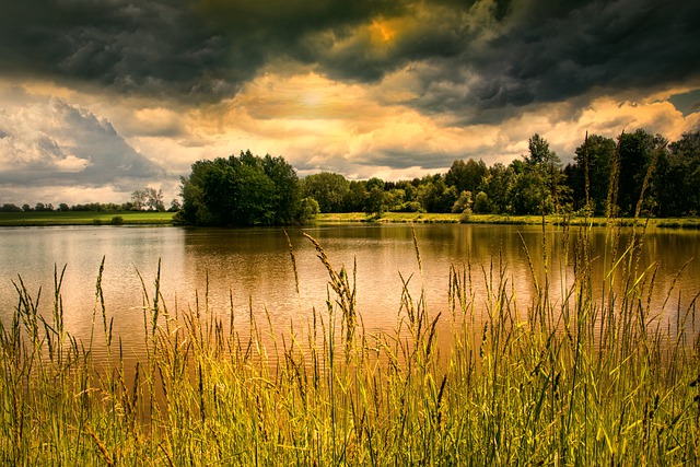 Free download lake beach plants clouds landscape free picture to be edited with GIMP free online image editor