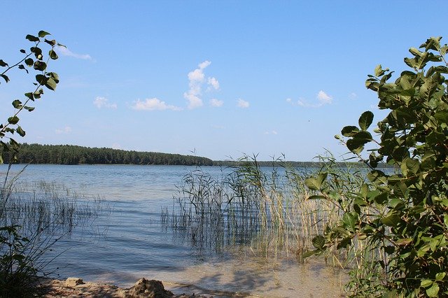 Free picture Lake Belarus Nature White -  to be edited by GIMP free image editor by OffiDocs