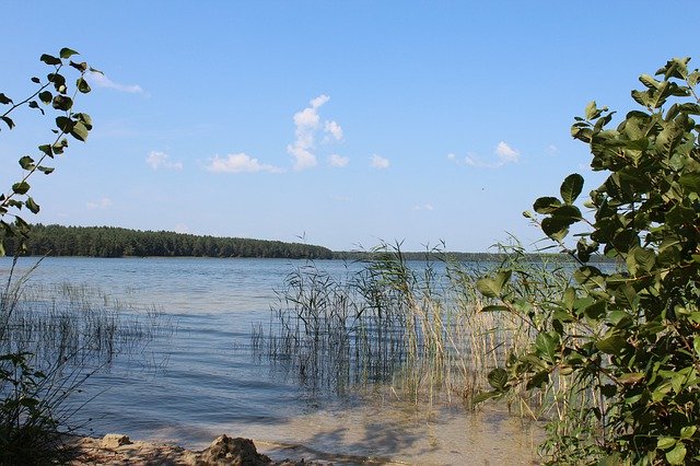 Gratis download Lake Belarus Nature White - gratis foto of afbeelding om te bewerken met GIMP online afbeeldingseditor