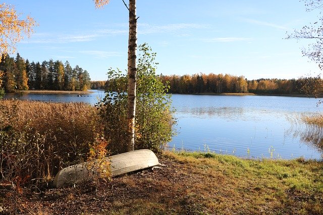 Muat turun percuma Lake Birch Tree - foto atau gambar percuma untuk diedit dengan editor imej dalam talian GIMP