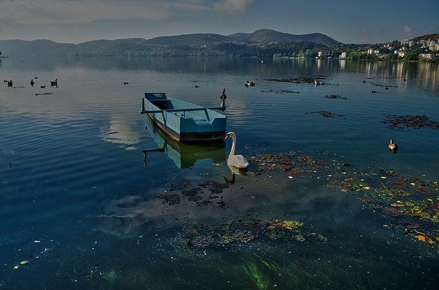 Free download Lake Boat Swan -  free photo or picture to be edited with GIMP online image editor