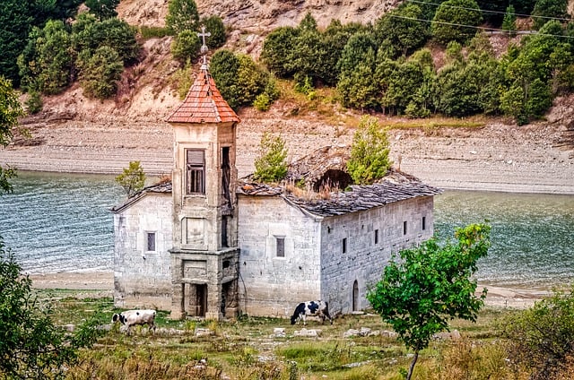 Free download lake cows church water ruins free picture to be edited with GIMP free online image editor