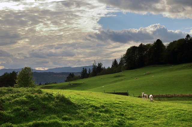 Unduh gratis Lake District Rural Scene - foto atau gambar gratis untuk diedit dengan editor gambar online GIMP