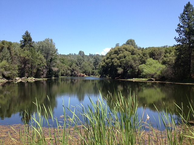 Free download lake fish peaceful vacation free picture to be edited with GIMP free online image editor