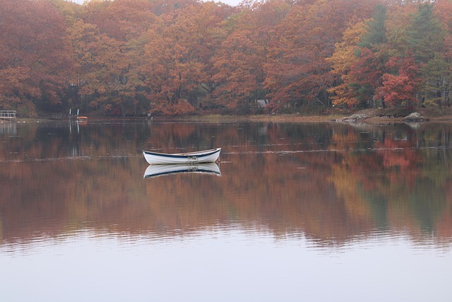 Free download lake forest autumn fall reflection free picture to be edited with GIMP free online image editor