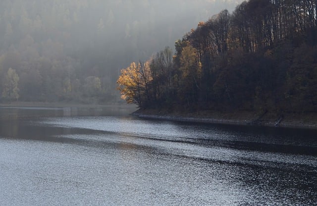 Téléchargement gratuit d'une image gratuite de forêt de lac, de brouillard d'automne, de colline d'arbres à modifier avec l'éditeur d'images en ligne gratuit GIMP