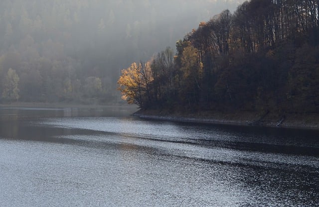 Free download lake forest autumn fog trees hill free picture to be edited with GIMP free online image editor