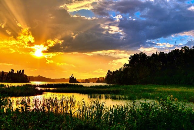 免费下载湖泊森林暑假湿地免费图片使用GIMP免费在线图像编辑器进行编辑