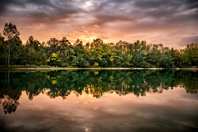 Free download lake forest trees sun sky water free picture to be edited with GIMP free online image editor