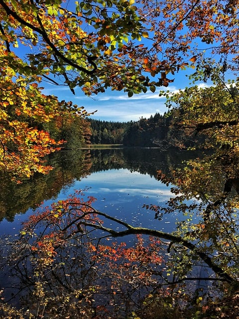 Free download lake forest water mountains free picture to be edited with GIMP free online image editor