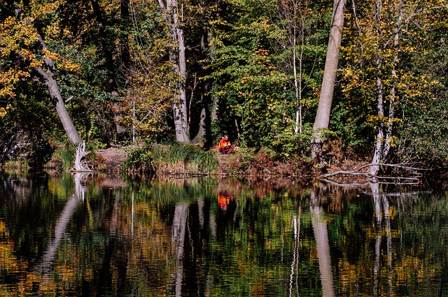 Free download lake forest water relax nature free picture to be edited with GIMP free online image editor