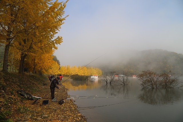 Libreng download Lake Ginkgo Autumn Leaves - libreng larawan o larawan na ie-edit gamit ang GIMP online na editor ng imahe