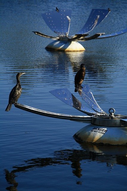 Free download Lake Gold Coast Australia -  free photo or picture to be edited with GIMP online image editor