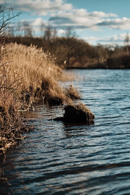 Free download lake grass fall water riverbank free picture to be edited with GIMP free online image editor