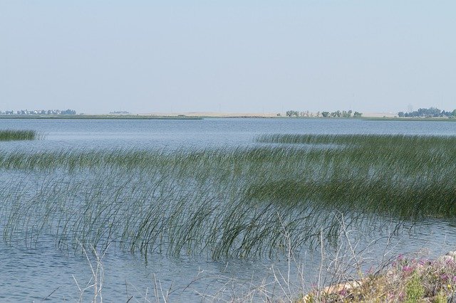 Free picture Lake Grass Nature -  to be edited by GIMP free image editor by OffiDocs