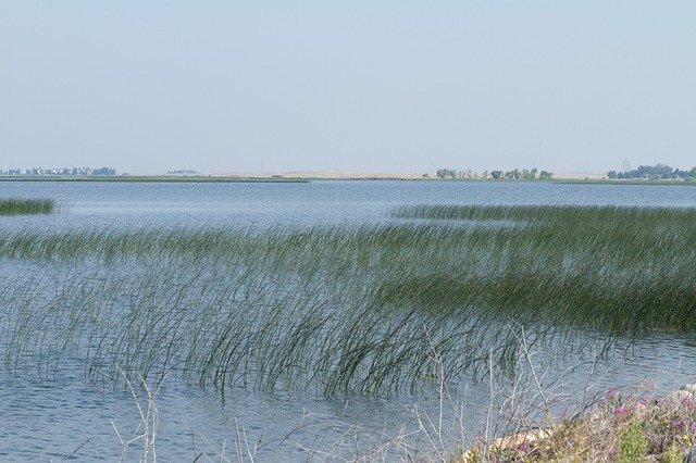 Bezpłatne pobieranie Lake Grass Nature - bezpłatne zdjęcie lub obraz do edycji za pomocą internetowego edytora obrazów GIMP