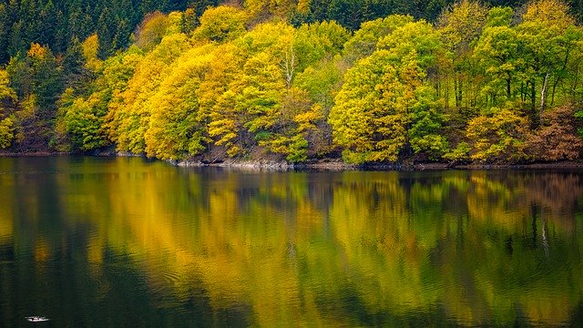 Descarga gratuita Lake Green Autumn: foto o imagen gratuita para editar con el editor de imágenes en línea GIMP