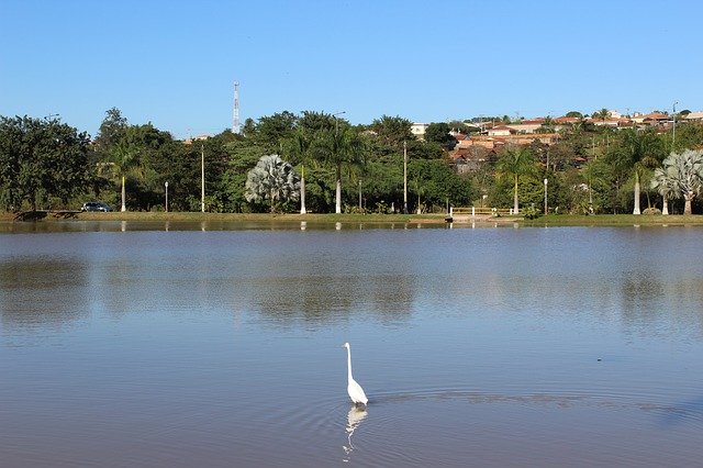 دانلود رایگان Lake Heron Water - عکس یا تصویر رایگان برای ویرایش با ویرایشگر تصویر آنلاین GIMP