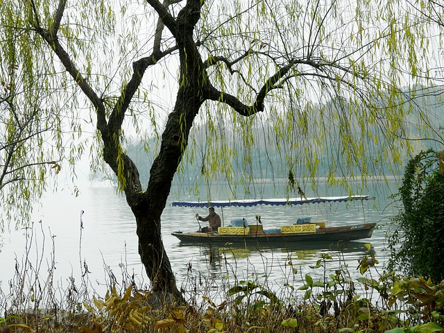 Free download lake lakeside scenery beautiful free picture to be edited with GIMP free online image editor