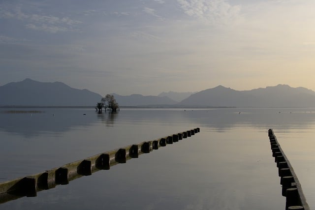 Free download lake mist trees landscape nature free picture to be edited with GIMP free online image editor