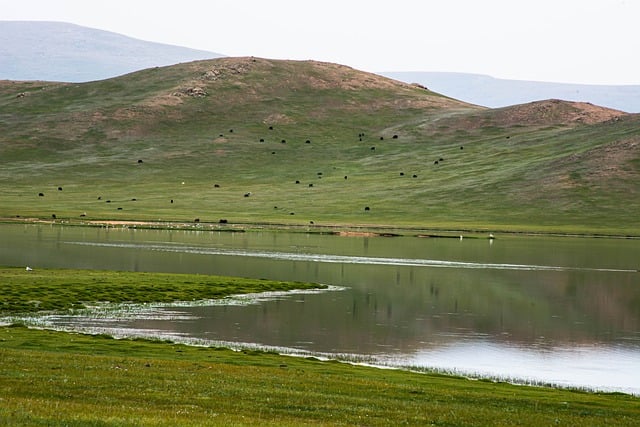 Scarica gratuitamente l'immagine gratuita del paesaggio montano del lago della Mongolia da modificare con l'editor di immagini online gratuito GIMP