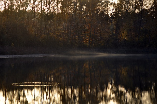 免费下载湖泊自然晚上水树免费图片使用 GIMP 免费在线图像编辑器进行编辑