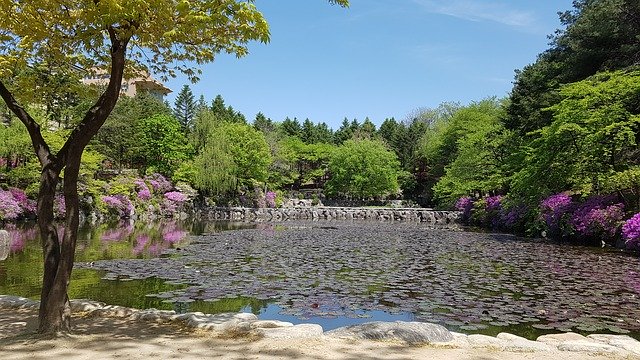 Gratis download Lake Nature Scenery - gratis foto of afbeelding om te bewerken met GIMP online afbeeldingseditor