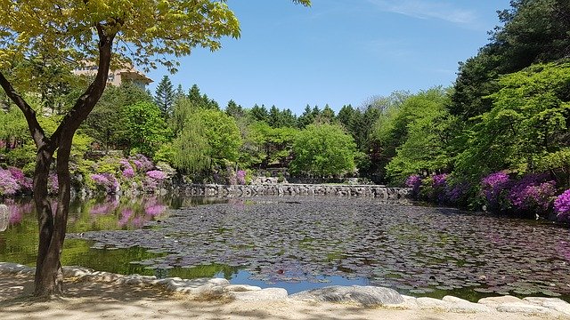 Безкоштовно завантажте Lake Nature Scenery – безкоштовну фотографію чи зображення для редагування за допомогою онлайн-редактора зображень GIMP