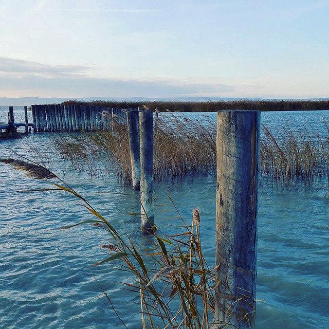 Gratis download Lake Neusiedl Burgenland - gratis foto of afbeelding om te bewerken met GIMP online afbeeldingseditor