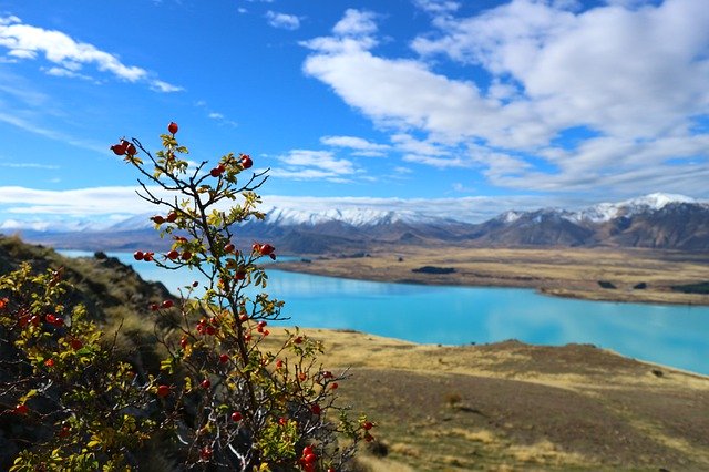 Безкоштовно завантажте Пейзаж озера Нової Зеландії - безкоштовне фото або зображення для редагування за допомогою онлайн-редактора зображень GIMP