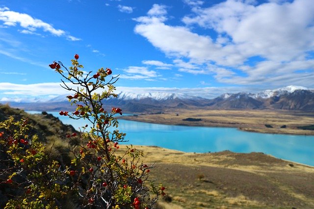 Free download Lake New Zealand Landscape -  free photo or picture to be edited with GIMP online image editor