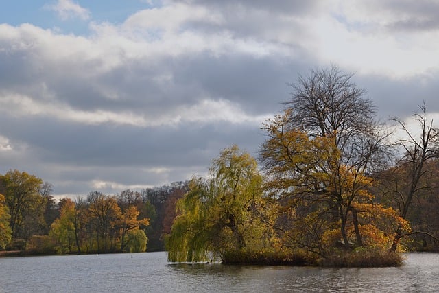 Free download lake park island fall clouds free picture to be edited with GIMP free online image editor