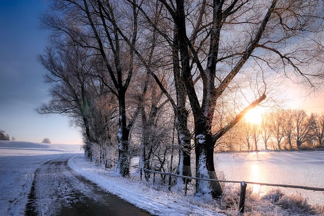 Download gratuito lago stagno strada percorso neve alberi foto gratis da modificare con l'editor di immagini online gratuito di GIMP
