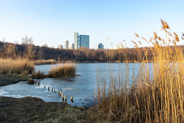 Free download lake reeds building skyscraper free picture to be edited with GIMP free online image editor