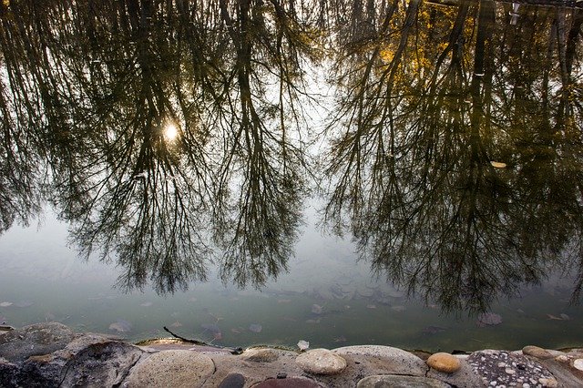 Free download Lake Reflection Waters -  free photo or picture to be edited with GIMP online image editor