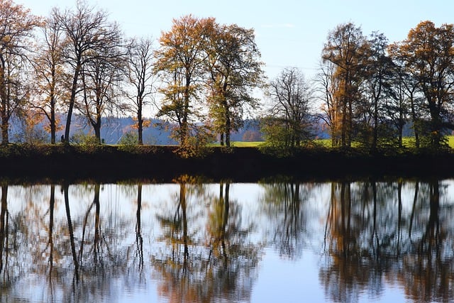 Free download lakeside trees lake reflection free picture to be edited with GIMP free online image editor