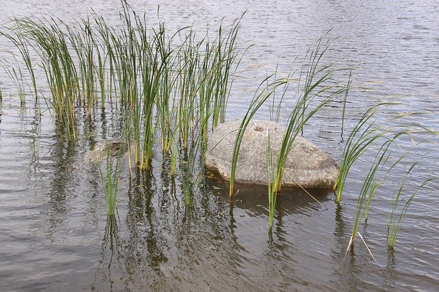 Free download Lake Siv Stone -  free photo or picture to be edited with GIMP online image editor