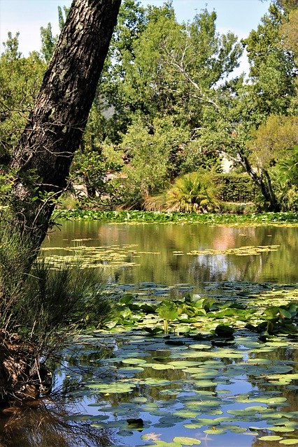 Free download Lake Sollies Pont Provence -  free photo or picture to be edited with GIMP online image editor