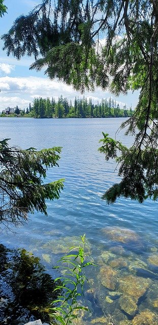 Free picture Lake Summer Tree Peace Of -  to be edited by GIMP free image editor by OffiDocs