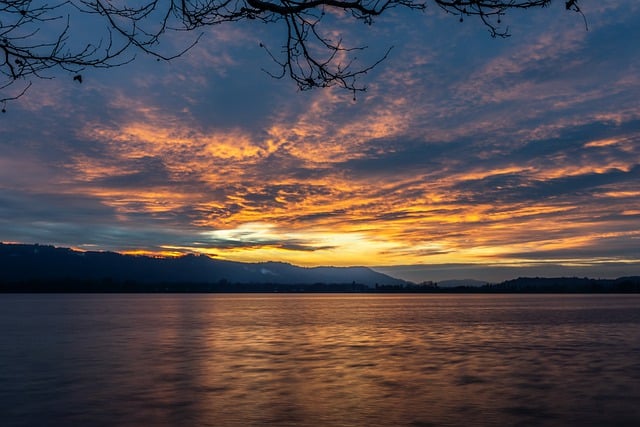 Free download lake sunset lake constance tree free picture to be edited with GIMP free online image editor
