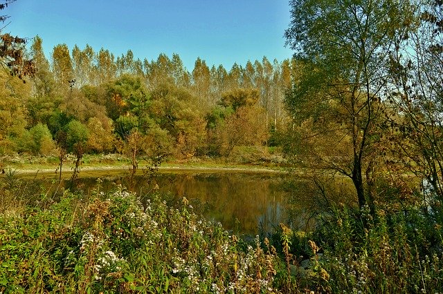Descarga gratuita Lake Swamp Istragonov: foto o imagen gratuita para editar con el editor de imágenes en línea GIMP