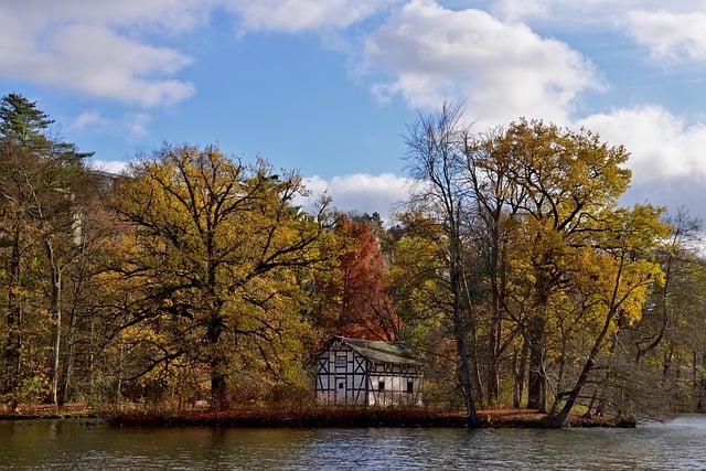 Free download lake swan house fall island autumn free picture to be edited with GIMP free online image editor