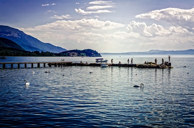 Free download lake swans swimming mountains free picture to be edited with GIMP free online image editor