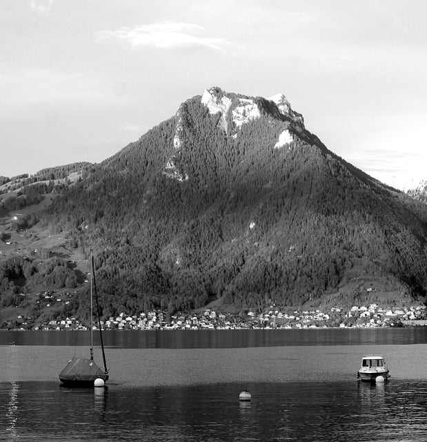 Scarica gratuitamente l'immagine gratuita del lago di Thun, delle barche, delle montagne, del paesaggio da modificare con l'editor di immagini online gratuito di GIMP